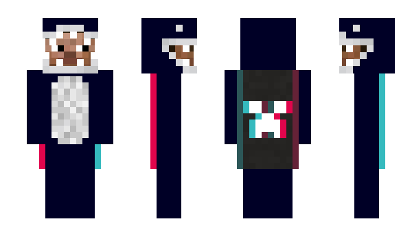 Minecraft skin _Begula