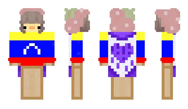 Minecraft skin palmitaas