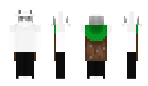 Minecraft skin sakurday