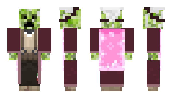 Minecraft skin Roland___