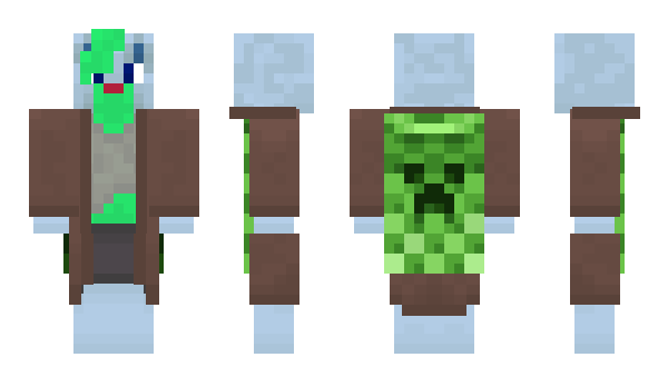 Minecraft skin Vidir