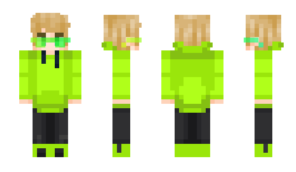 Minecraft skin Vailenaa