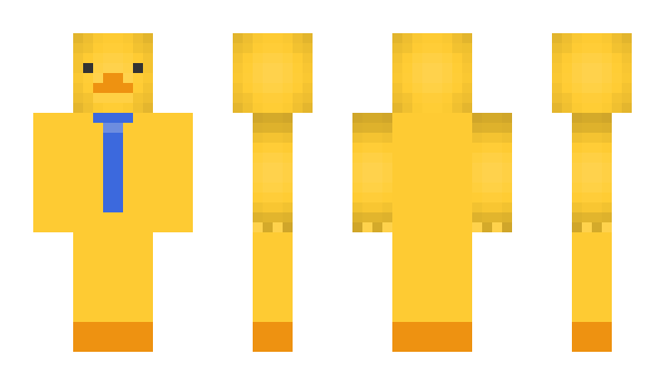 Minecraft skin ducks331