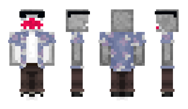 Minecraft скін по ніку Webst