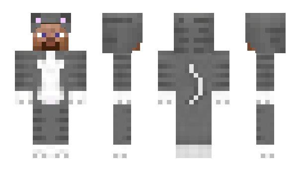 Minecraft skin ovm