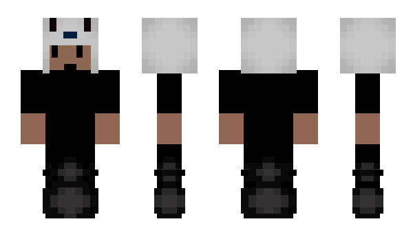 Minecraft skin zValde