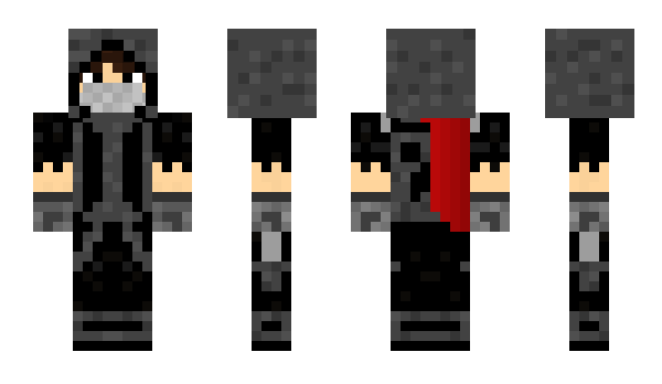 Minecraft skin Elytres