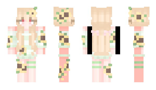 Minecraft skin Torocalin
