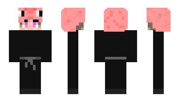 Minecraft skin TRMS