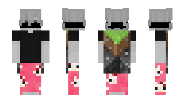 Minecraft skin Flyingjet354