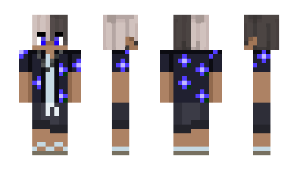 Minecraft skin _Vedix