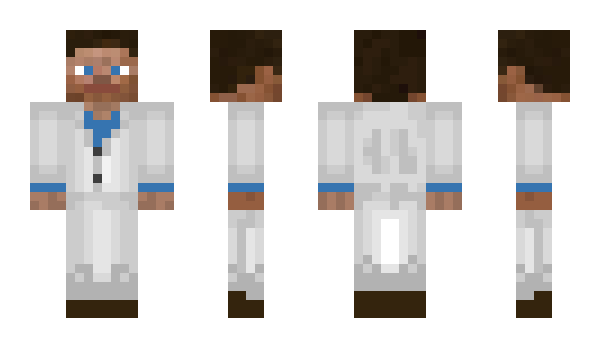 Minecraft skin arona_d