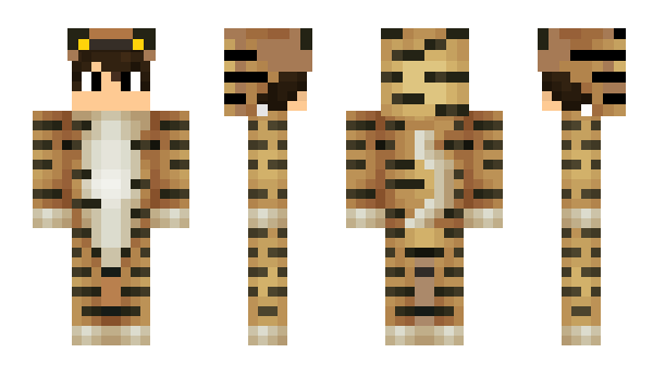 Minecraft skin Baris_61