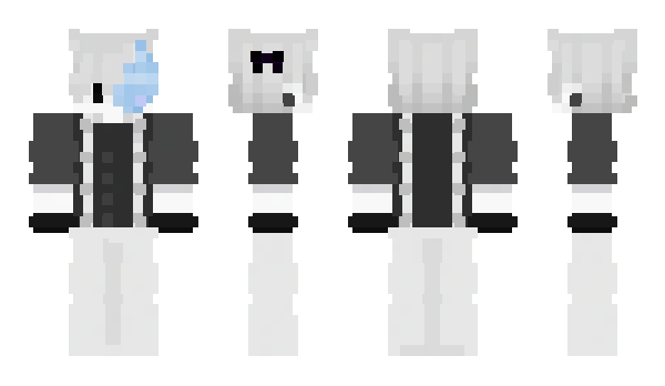 Minecraft skin VSlC
