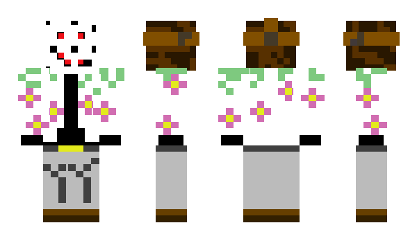 Minecraft skin GonMC