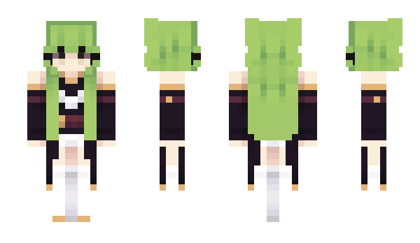 Minecraft skin GYDU