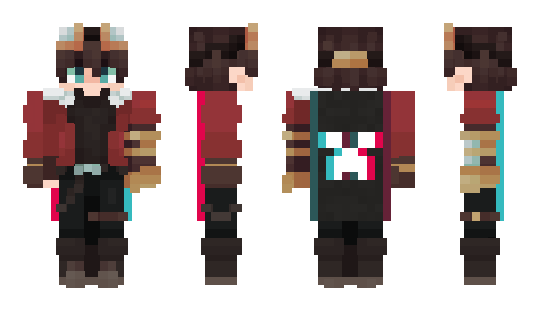 Minecraft skin w_zrd