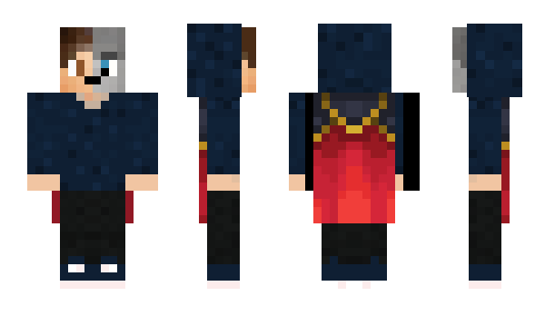 Minecraft skin _Litten