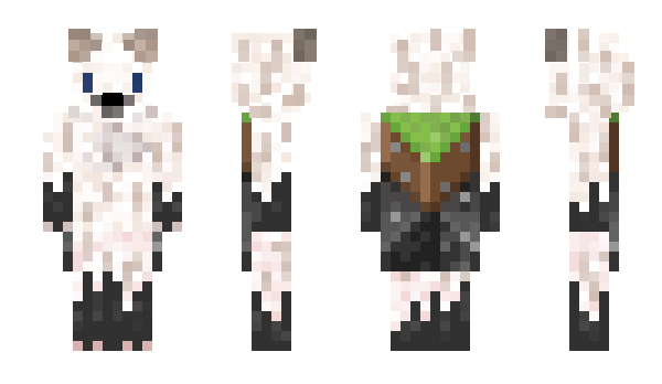 Minecraft skin ZillionKG