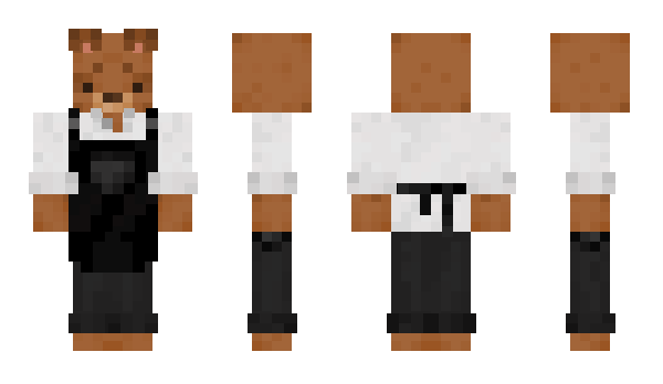 Minecraft skin TungTT
