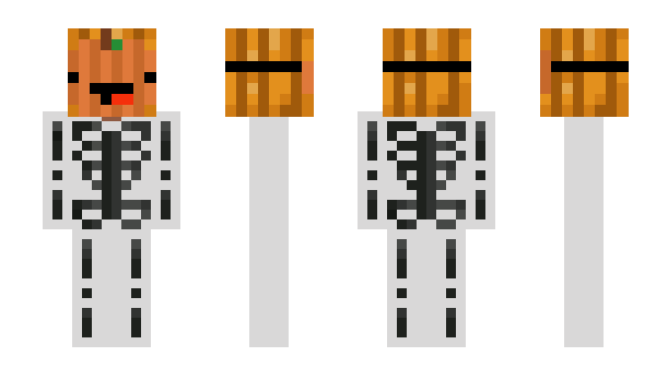 Minecraft skin vllager