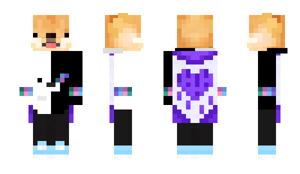 Minecraft skin pmnt17
