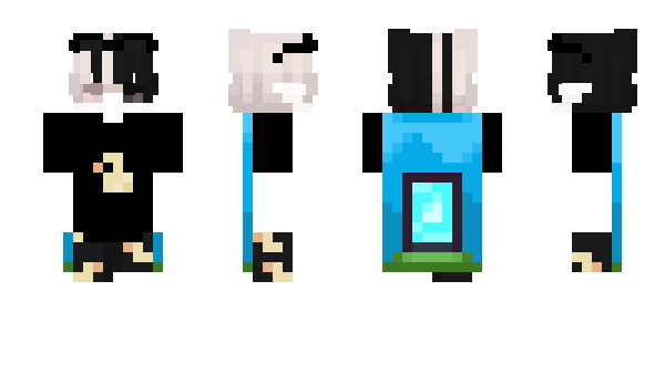 Minecraft skin BoDzZ_