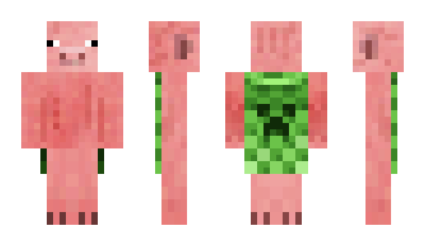 Minecraft skin flow_away_fiefly