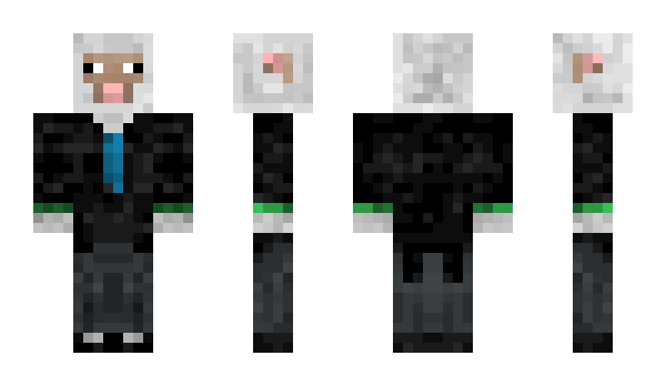 Minecraft skin DubbedCraft