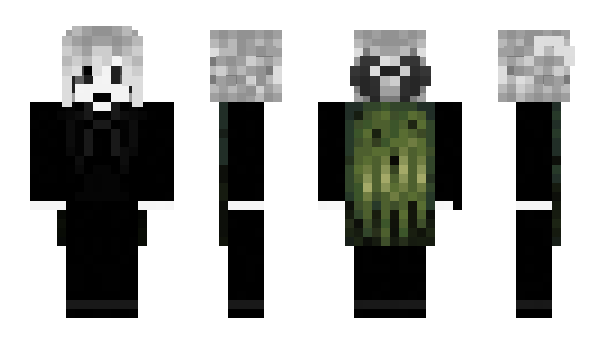 Minecraft скин по нику Essenria