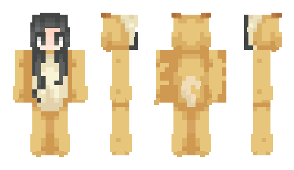 Minecraft skin Aufnehmer