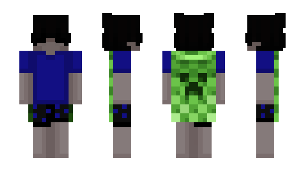 Minecraft skin vs4