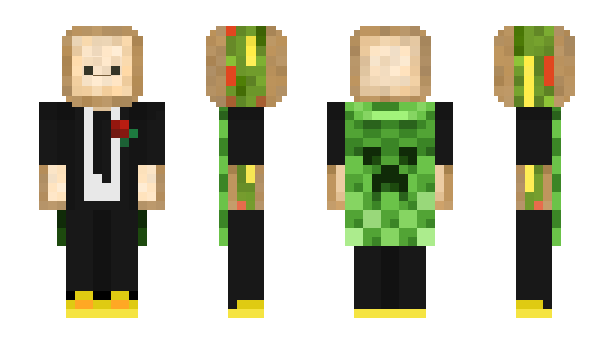 Minecraft skin Pellons