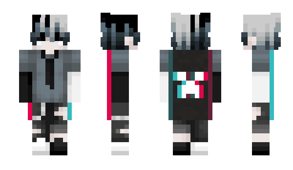 Minecraft skin Flypigwjm520