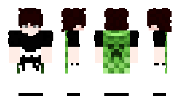 Minecraft skin zppiru