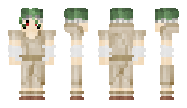 Minecraft skin Senqu