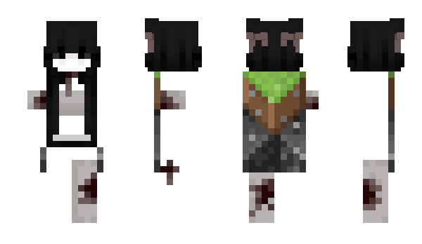Minecraft skin twrc