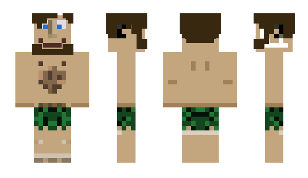 Minecraft skin nikri