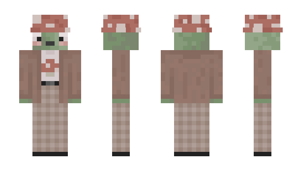 Minecraft скин по нику allioo