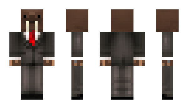 Minecraft skin Lord_Skywise