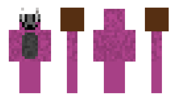 Minecraft skin TwigTheKiwi