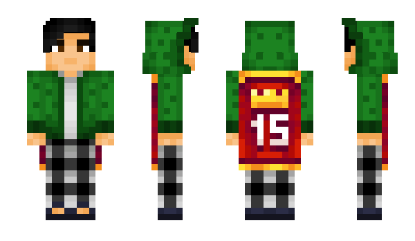 Minecraft skin NaViCG