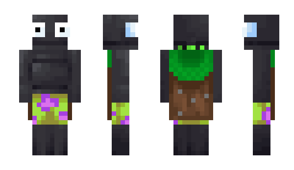 Minecraft скин по нику Skylinkr