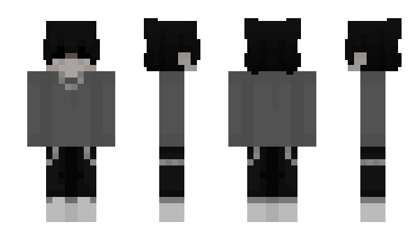 Minecraft skin imagineable