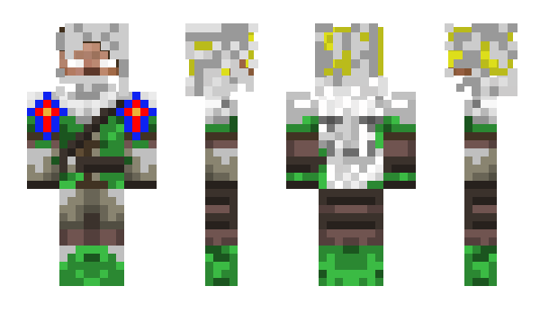 Minecraft skin bs199sg