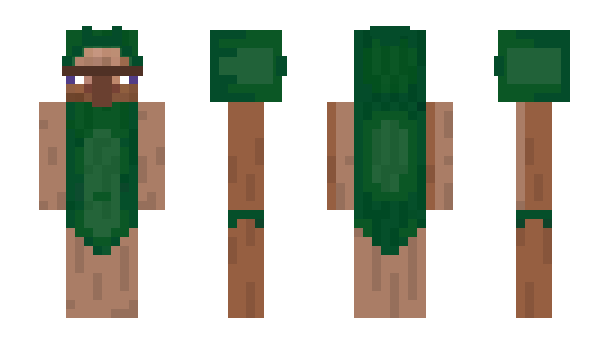 Minecraft skin HPNF