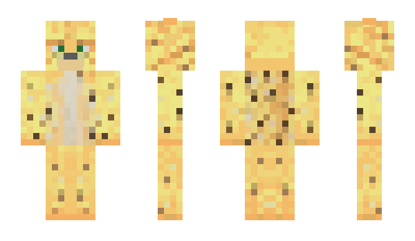 Minecraft skin stacheldrahtzaun
