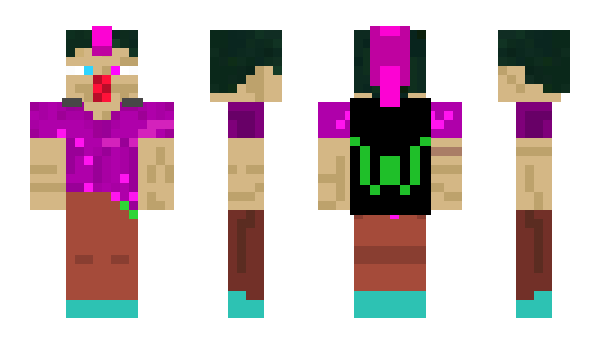 Minecraft skin SGTE