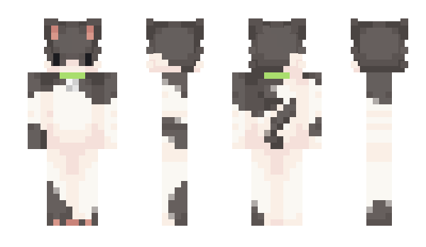 Minecraft skin Mag1c_Br3ad