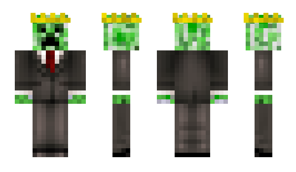 Minecraft skin PJ313